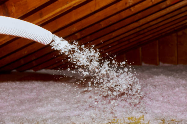 Best Spray Foam Insulation  in Searingtown, NY