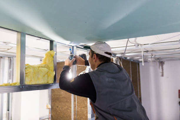 Best Best Insulation Companies  in Searingtown, NY