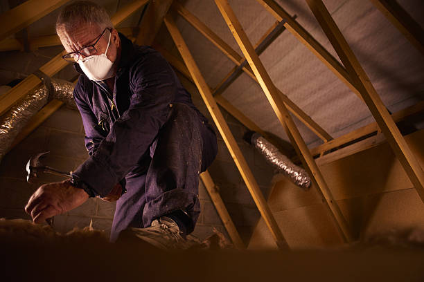 Best Fiberglass Insulation  in Searingtown, NY
